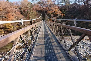 Nanatsuiwa Suspension Bridge image