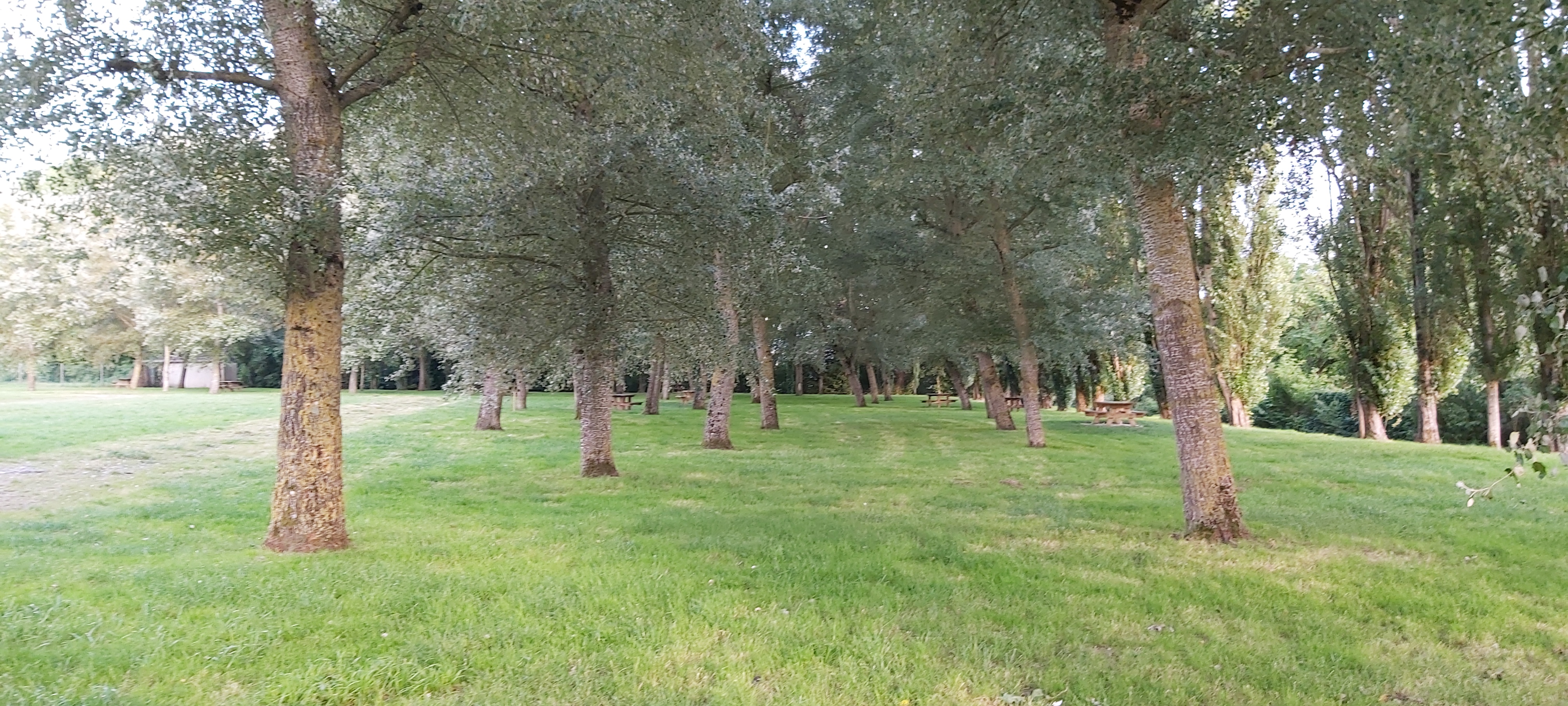 Photo n° 7 de l'avis de K..i fait le 12/08/2021 à 12:54