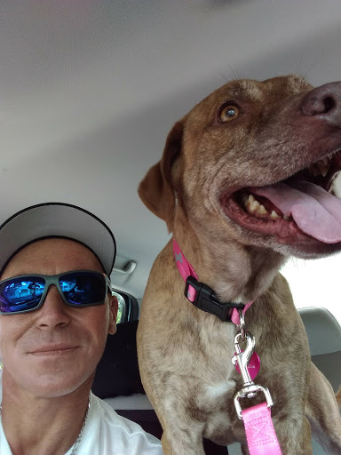 Pet Supply Store «Bark Avenue Pet Specialties», reviews and photos, 435 Sebastian Blvd, Sebastian, FL 32958, USA