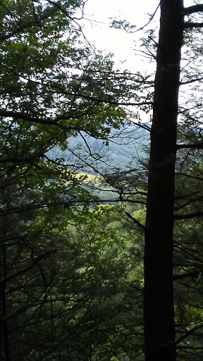 Nature Preserve «Sweedler and Thayer Preserves», reviews and photos, 10 Townline Rd, Ithaca, NY 14850, USA