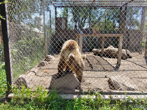 Zoo «Cricket Hollow Zoo», reviews and photos, 1512 210th St, Manchester, IA 52057, USA