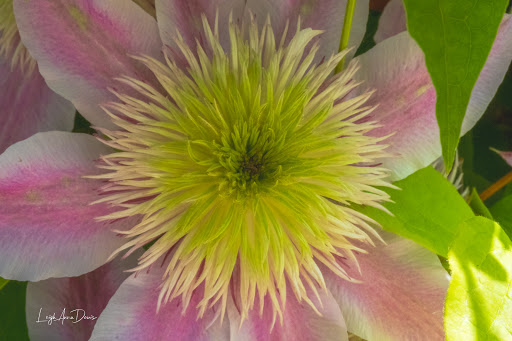 Winery «Lanthier Winery», reviews and photos, 123 Mill St, Madison, IN 47250, USA