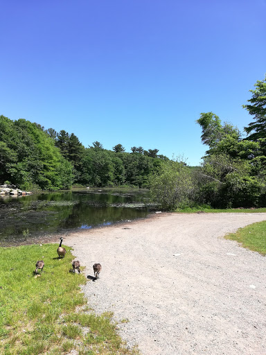 Park «Pond Meadow Park», reviews and photos, 470 Liberty St, Braintree, MA 02184, USA