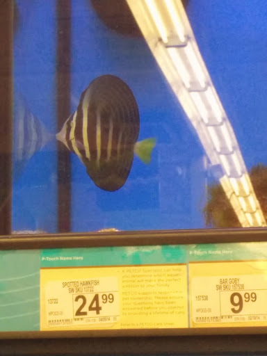 Pet Supply Store «Petco Animal Supplies», reviews and photos, 8164 Mall Pkwy, Lithonia, GA 30038, USA