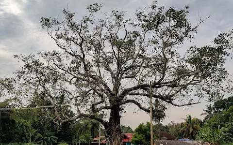 Sankaranarayanaswami Temple image