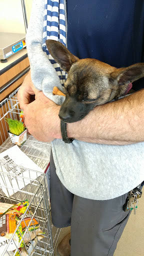 Pet Supply Store «Pet Supplies Plus», reviews and photos, 87 S River Rd, Bedford, NH 03110, USA