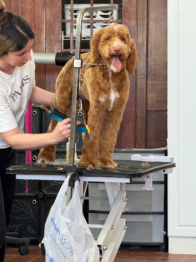 Healthy PAWS Dog Groomers