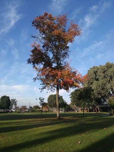 Park «Parnell Park», reviews and photos, 15390 Lambert Rd, Whittier, CA 90604, USA