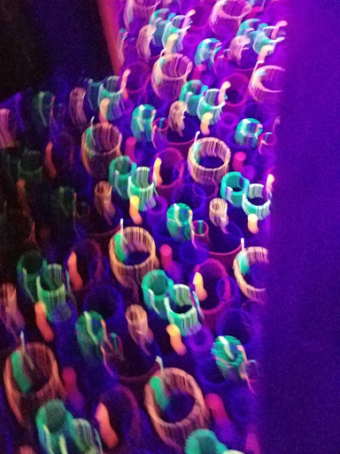 Video Arcade «Safari Playground», reviews and photos, 700 N Pontiac Trail, Walled Lake, MI 48390, USA