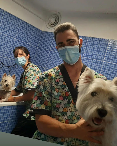 Clínica Veterinaria Darwin en Atarfe