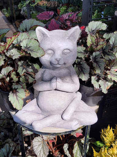 Florist «Plant Safari», reviews and photos, 653 N Central Ave, Upland, CA 91786, USA