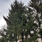 Photo n°2 de l'avis de Se.o fait le 23/04/2018 à 18:27 sur le  Tannenhof à Clausthal-Zellerfeld