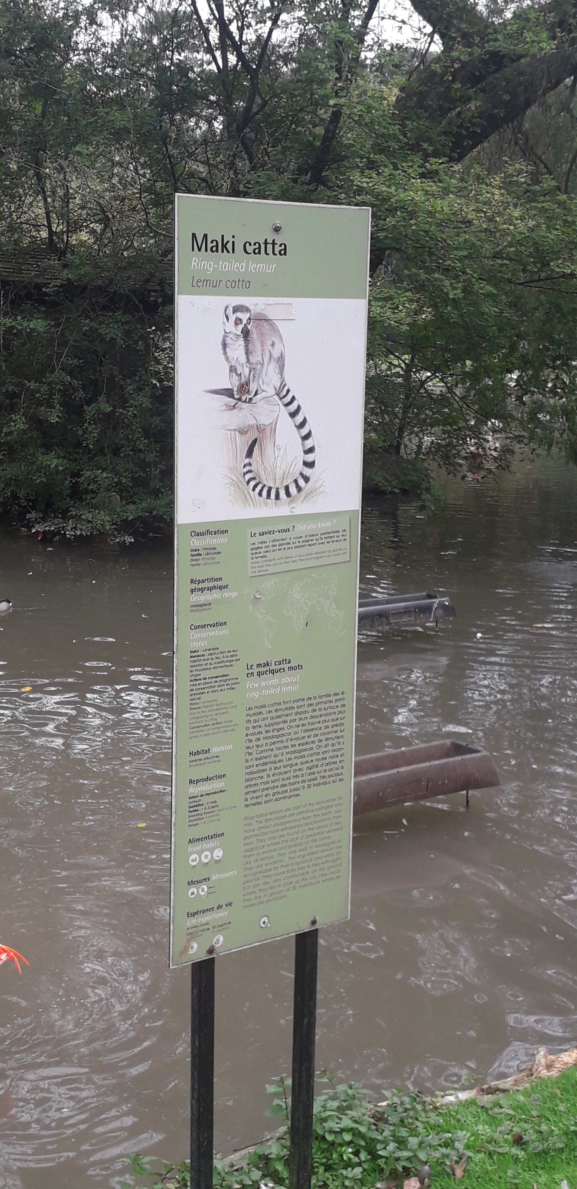 Photo n° 15 de l'avis de lilou.i fait le 19/09/2020 à 16:48