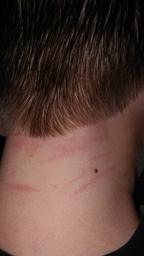 Hair Salon «Great Clips», reviews and photos, 9720 Coit Rd #230, Plano, TX 75025, USA