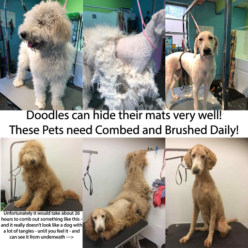 Pet Groomer «Premier Loving Care», reviews and photos, 48 E Washington St, Shelbyville, IN 46176, USA