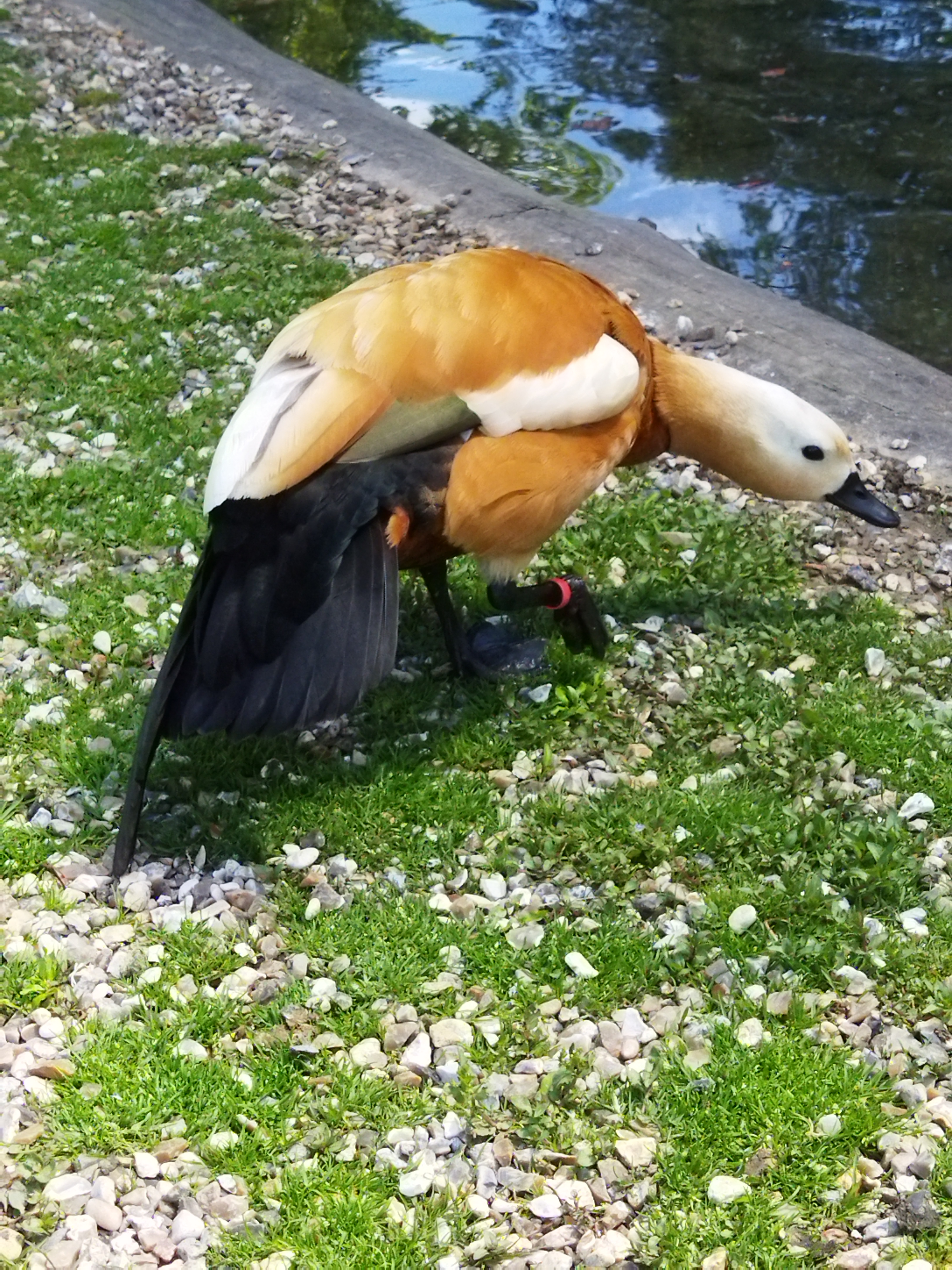 Photo n° 8 de l'avis de Laurent. fait le 27/05/2022 à 16:38