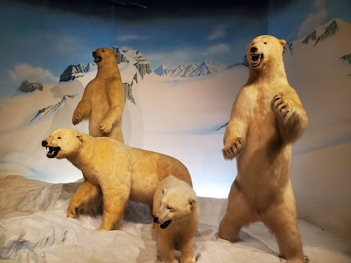 The Museum at Rolling Hills Zoo