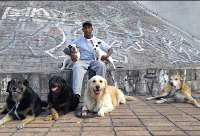Ronaldo Tadeu Barbosa