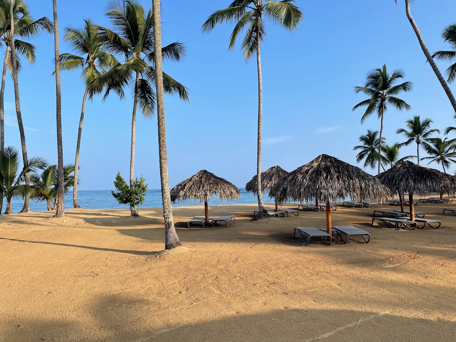 Esmeralda Plajı'in fotoğrafı kısmen otel alanı