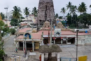 Shri Panchalinga Nageshwara Temple image