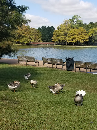 Zoo «Houston Zoo», reviews and photos, 6200 Hermann Park Dr, Houston, TX 77030, USA