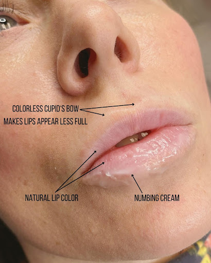 Explore ecuador tattoo ideas, creative tattoo ideas in Marietta, available at Sink or Swim Studio and Gallery