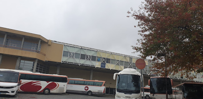 Auto Viação Landim Lda. - Estação - Felgueiras