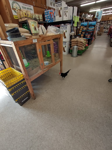 Hardware Store «True Value Hardware Store», reviews and photos, 501 Bastrop Hwy, Austin, TX 78741, USA