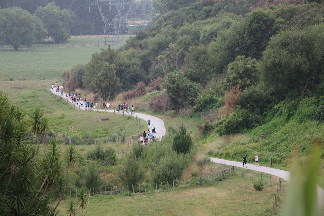 Cambridge NZ parkrun