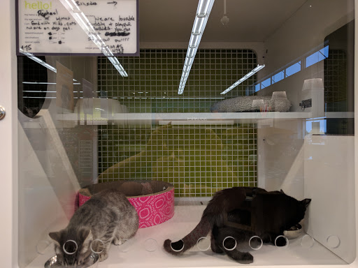 Pet Supply Store «Petco Animal Supplies», reviews and photos, 12444 NW 10th St #301, Yukon, OK 73099, USA