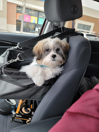 Pet Supply Store «PetSmart», reviews and photos, 47142 Michigan Ave, Canton, MI 48188, USA