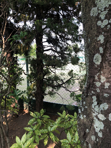 松江テニスコート