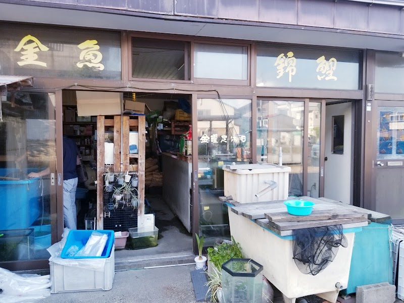 南雲鯉金魚店