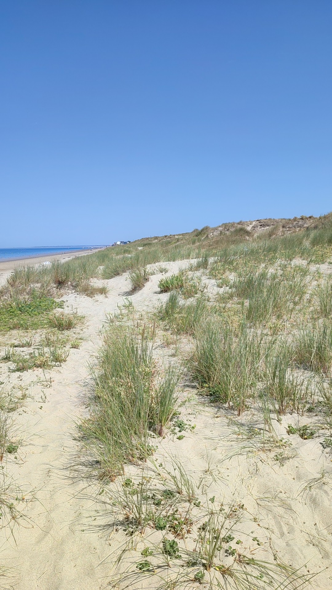 Photo n° 9 de l'avis de Bruno.l fait le 13/08/2022 à 16:51