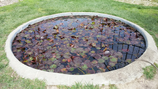 Descanso Gardens image