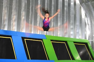 The Jump Zone image