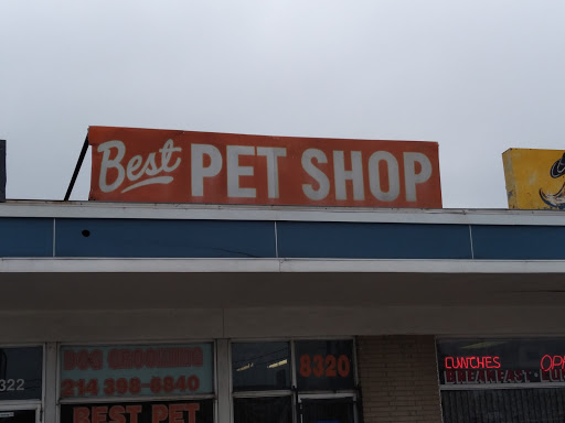 Best Pet Shop & Dog Grooming Salon