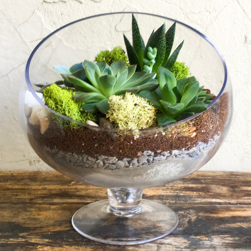 Wholesale Florist «Urban Jungle», reviews and photos, 2603 Sherman Ave NW, Washington, DC 20001, USA