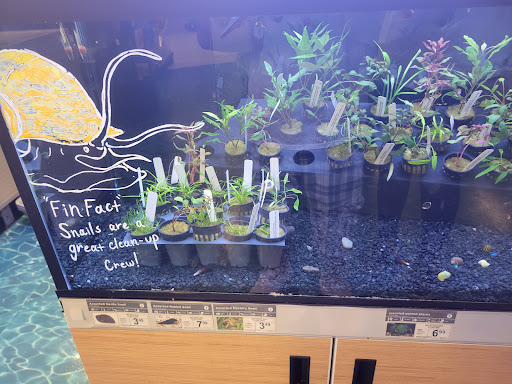 Shopping Mall «Hillcrest Shopping Center», reviews and photos, 1855 E Main St #10, Spartanburg, SC 29307, USA