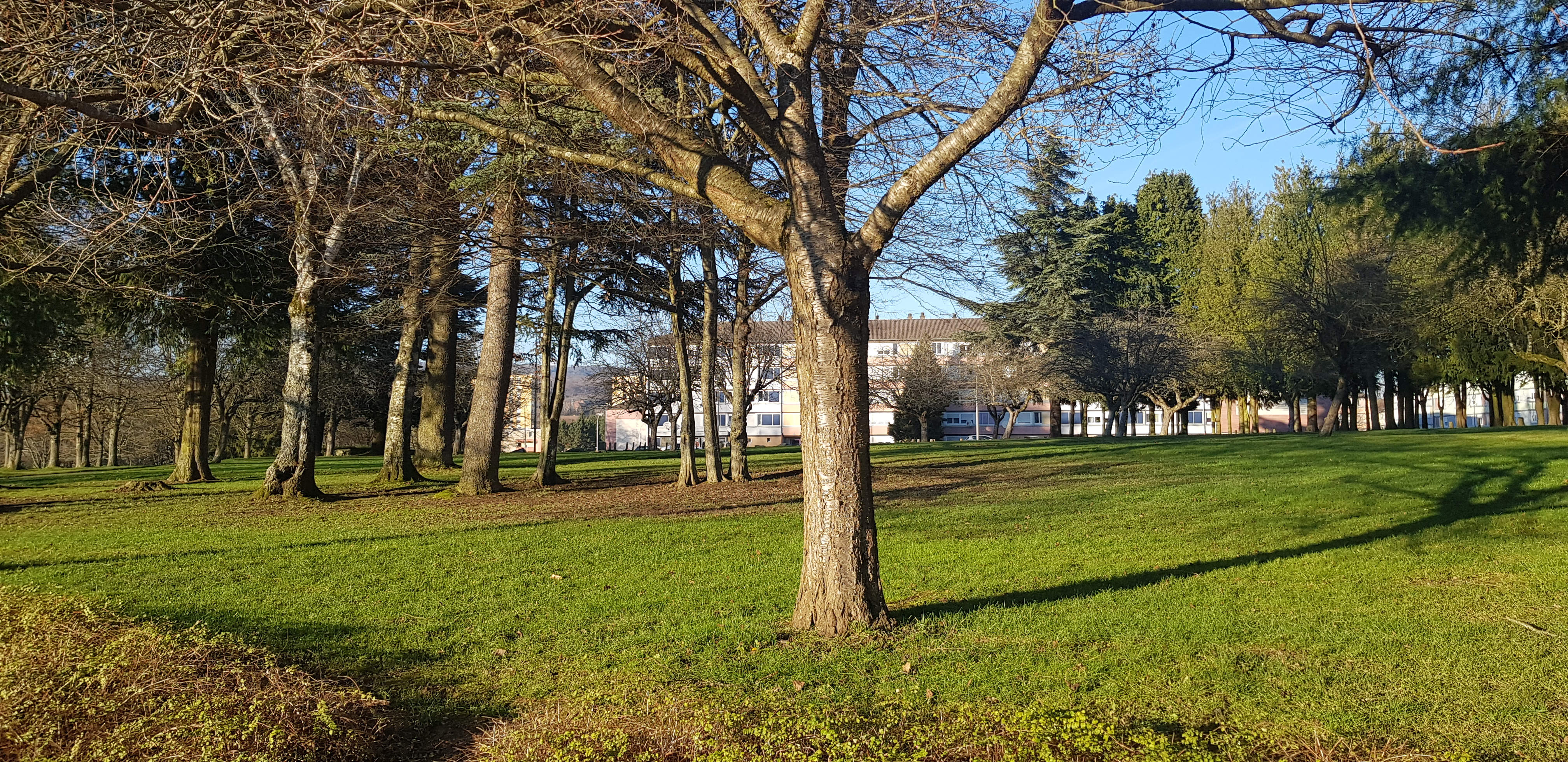 Photo n° 19 de l'avis de R.a fait le 30/12/2019 à 14:49