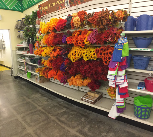 Dollar Store «Dollar Tree», reviews and photos, 3544 Canton Rd, Marietta, GA 30066, USA