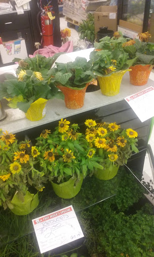 Supermarket «Butera Market», reviews and photos, 1500 E Grand Ave, Lindenhurst, IL 60046, USA