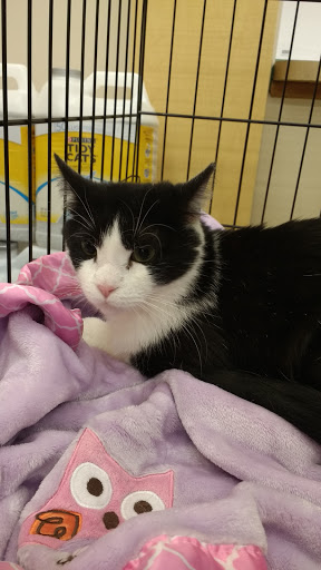 Pet Supply Store «Pet Supplies Plus», reviews and photos, 31029 Harper Ave, St Clair Shores, MI 48082, USA