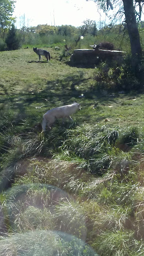 Animal Park «Detroit Zoo Safari Station Exit», reviews and photos, Ludlow Pl, Huntington Woods, MI 48070, USA