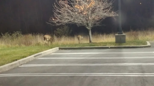 Gym «Planet Fitness», reviews and photos, 30 Gibbs Ct, Middletown, NY 10940, USA