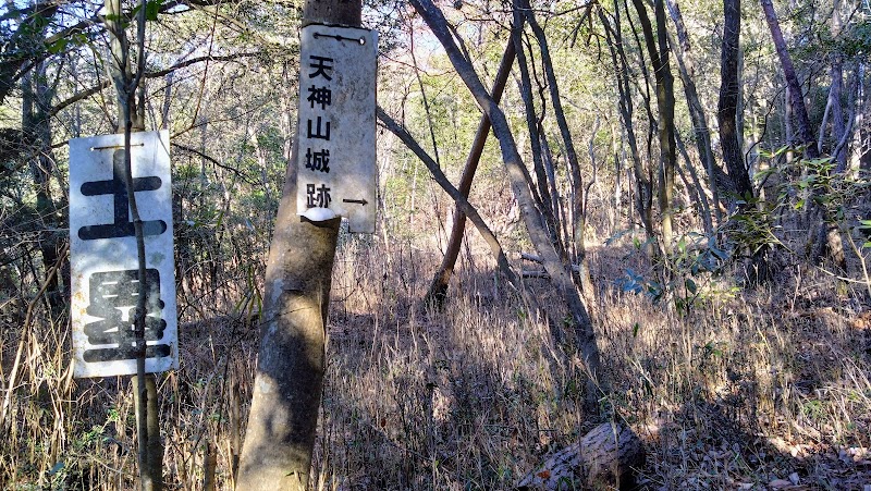 土塁・曲輪跡