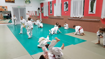 Aikido Shobukan Dojo Eger