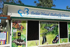 Bribie Island Butterfly House image