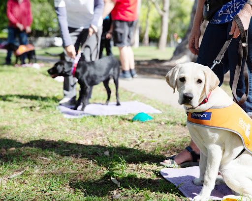 Guide Dogs NSW/ACT
