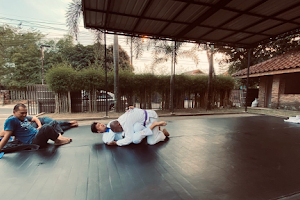 Musi Jiujitsu image